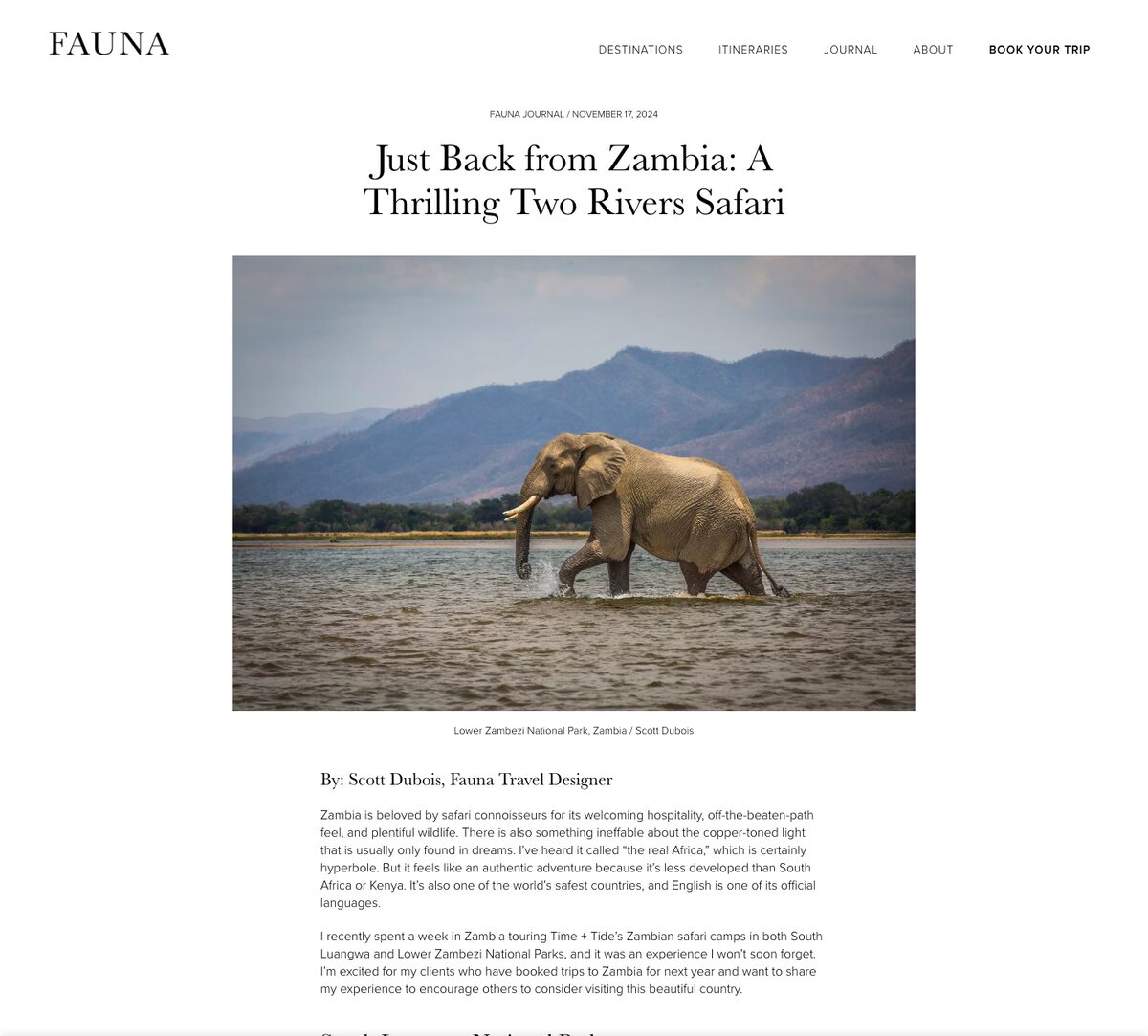 The opening of 'Just Back from Zambia: A Thrilling Two Rivers Safari' in the Fauna Journal