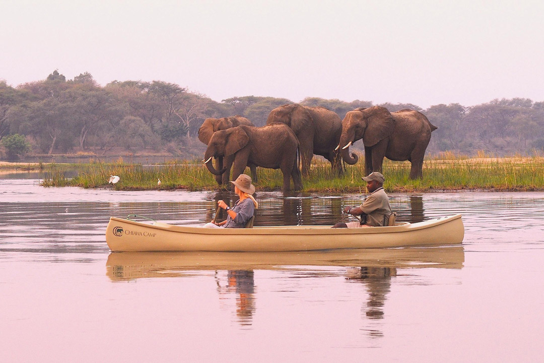 Canoe safari, Zambia