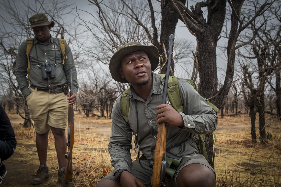 Guides tracking on foot through the bush