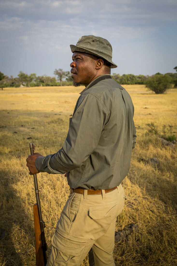 A guide scanning golden grassland at first light