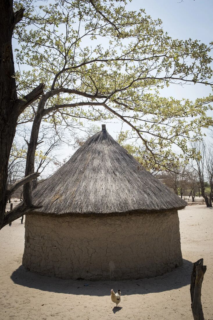 A thatched rondavel at a safari camp
